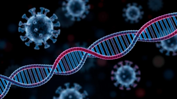 Review maps PTBP1 roles in viral RNA translation and replication