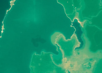 Satellites and Sediments Reveal Hidden Pollution in Brazil’s Famous Lagoon