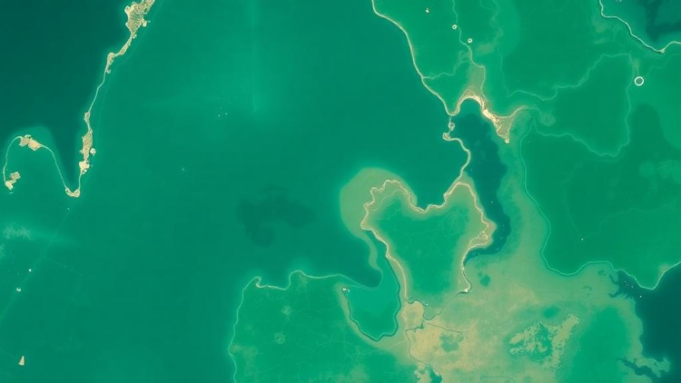 Satellites and Sediments Reveal Hidden Pollution in Brazil’s Famous Lagoon