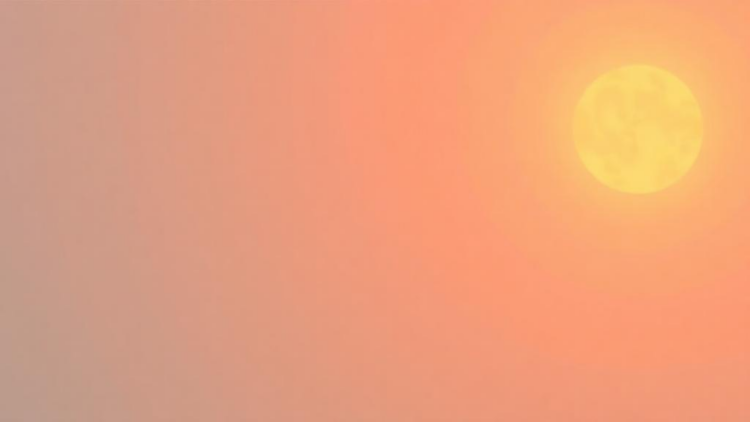 Preprint links anthropogenic warming to 15–30 extra hot days yearly