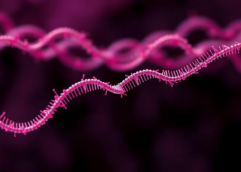 Three microRNAs reveal breast cancer resistance patterns