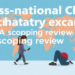 Cross-national child psychiatry exchange: a scoping review