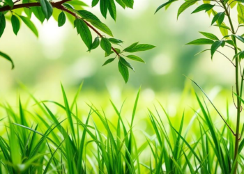 Green finance softens foreign investment’s negative association with Southeast Asian green growth