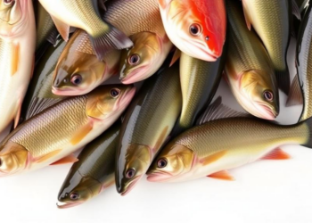 Upper Mississippi River fishes grow in varied proportions