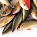 Upper Mississippi River fishes grow in varied proportions