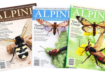 Time to change after six issues of Alpine Entomology