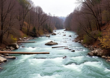 Cross-border river assessments diverge despite European harmonization