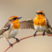 Review quantifies birds’ role as nutrient transporters