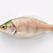 Microplastics and BPA Together Weaken Fish Antiviral Defenses Through Oxidative Stress