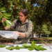 Protocol filters Cape Town trees for invasion and pest risks