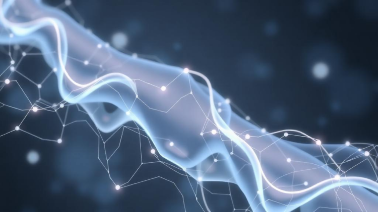 Spatial Multi-Omics Needs Reproducibility Standards Before It Can Reach the Clinic