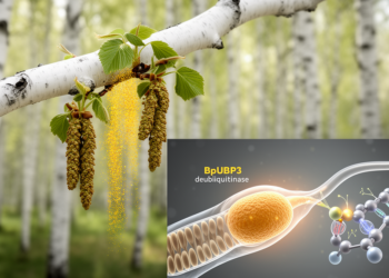 White birch study links deubiquitinase BpUBP3 to pollen growth