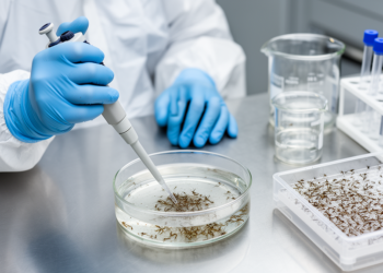 Temephos–Bti mixture shows laboratory synergy and field larvicidal activity