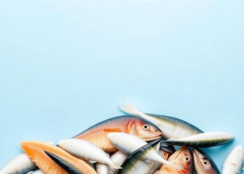 New TIDE Framework Reveals Why Seafood SMEs Struggle to Turn Fish Waste Into Profit
