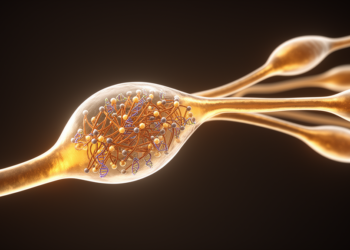 RNA network maps fungal spore-to-hypha transition