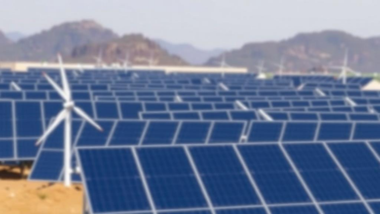 Qualitative study maps barriers to municipal renewable energy training in South Africa