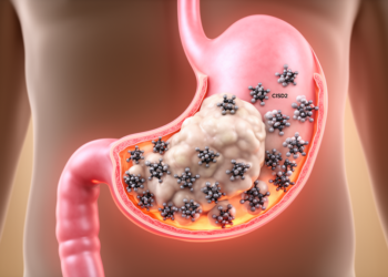 Association between CISD2 expression and clinicopathological features and prognosis in gastric cancer: a systematic review, meta-analysis, and database validation