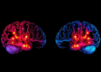 Early lineage divergence segregates sensory and motor-associative identities in the thalamus