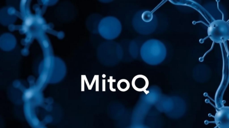 MitoQ: The Mitochondria-Targeted Antioxidant That Could Slow Aging