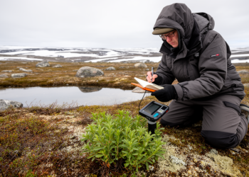 Climate scan flags 2,554 potential new alien plants in the Arctic