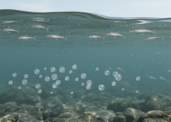 Species composition and assemblages of ichthyoplankton during winter and summer around the Korean Peninsula