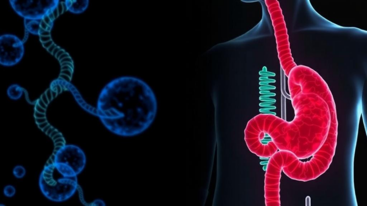 Gastric Cancer circRNA Study Retracted After Image Duplication and Contaminated Cell Line Concerns