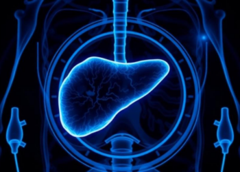 Tiny Coils and Software Help Doctors Destroy Liver Tumors Without Contrast Dye