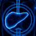 Tiny Coils and Software Help Doctors Destroy Liver Tumors Without Contrast Dye