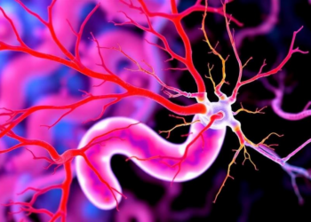 Glial Cells Turn Against Gut Neurons in Hirschsprung Disease, Study Finds