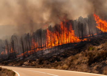 Extreme weather and dry fuel drove Spain’s Jarilla megafire