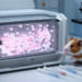 Flow cytometry reveals B-cell predominance in guinea pig lymphomas