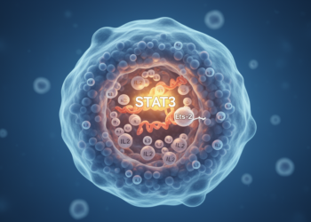 STAT3 directly silences Ets-2 to enable IL-2 in activated T cells
