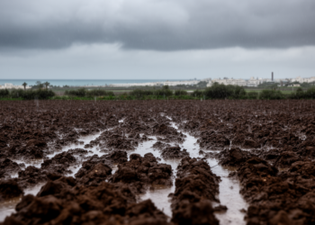 Rainfall Leads Clues to Tripoli Soil Moisture