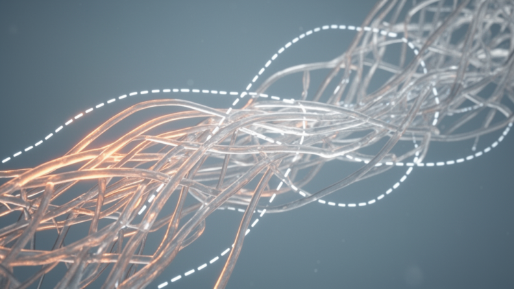 Molecular Dynamics Reveals How Hydrogen Bonds Sculpt Cellulose Acetate Nanofibers