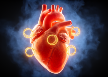 How Sevoflurane Shields the Heart: Circular RNA Circ_SMG6 Emerges as a Key Switch in Reperfusion Injury