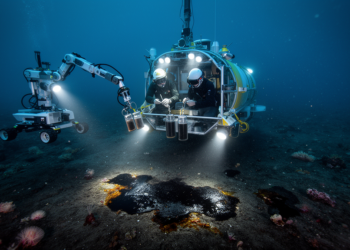 Deep-Gulf life remains depleted 16 years after oil spill