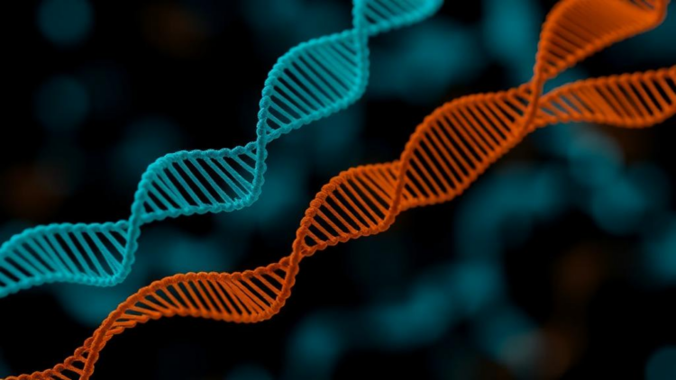 AI Variant Scoring Tools Disagree Wildly in Gene-Based Genetic Association Studies