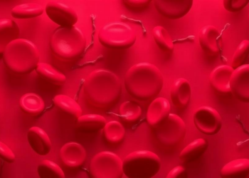 Ten Blood Markers Could Predict Survival in Multiple Myeloma, Study of 812 Patients Finds