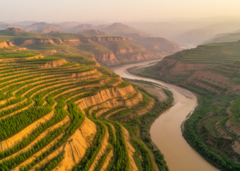 China’s Grain for Green program: satellite data reveal carbon gains and water pressures on the Loess Plateau