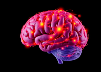 Dementia Brain Rewires Itself to Keep Stepping Fast, fNIRS Study Reveals