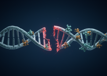 Hidden DNA Repair Fallback Pathways Leave Distinct Genomic Scars Across 17 Cancer Types