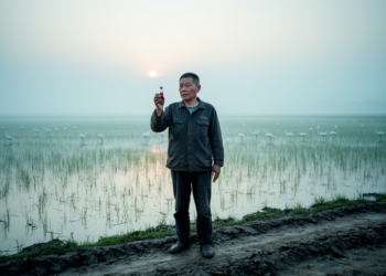 Seven Years of Blood Tests Reveal Quiet Avian Flu Exposure Around Poyang Lake