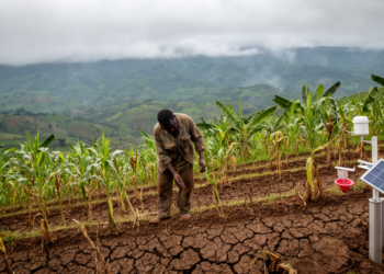 Farmers in Eastern Congo Sense a Shifting Climate — and the Data Partly Agrees