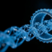 Soft Polymer Chains Unlock Hidden Channels Inside Carbon Nanotube Fibers
