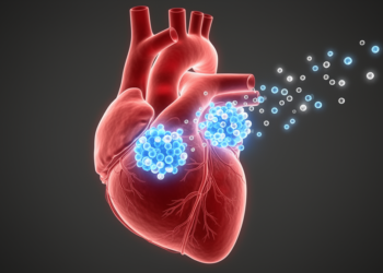 Brain Chemical’s Heart Receptor Emerges as Hidden Player in Atrial Fibrillation
