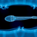 A Missing Lipid Tag on PDZK1 Emerges as a Hidden Cause of Sluggish Sperm