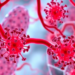 Immune Cells Cluster Around Blood Vessels to Predict Lung Cancer Immunotherapy Success