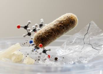 Soil Bacterium Dismantles PET and Polystyrene Faster After UV Pretreatment