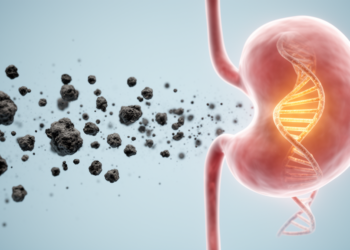 Air Pollution May Dramatically Raise Bladder Cancer Risk, Especially in the Genetically Vulnerable