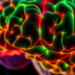 New computational tool maps the cell-state crosstalk that decides survival in IDH-mutant glioma